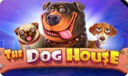 Betista Casino – The Dog House